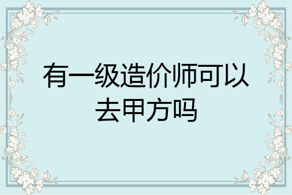 有一级造价师可以去甲方吗