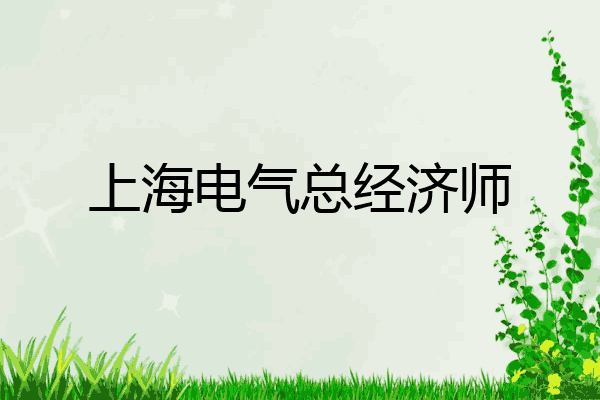 上海电气总经济师