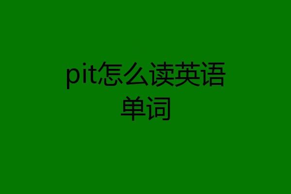 pit怎么读英语单词