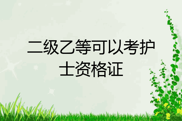 二级乙等可以考护士资格证