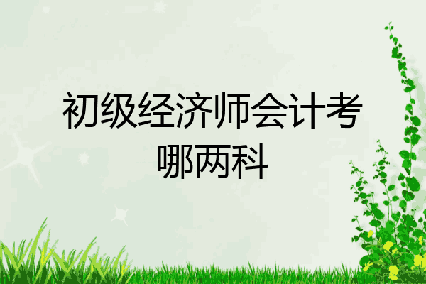 初级经济师会计考哪两科