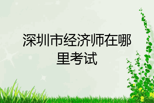 深圳市经济师在哪里考试