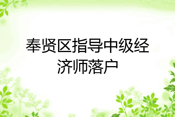 奉贤区指导中级经济师落户