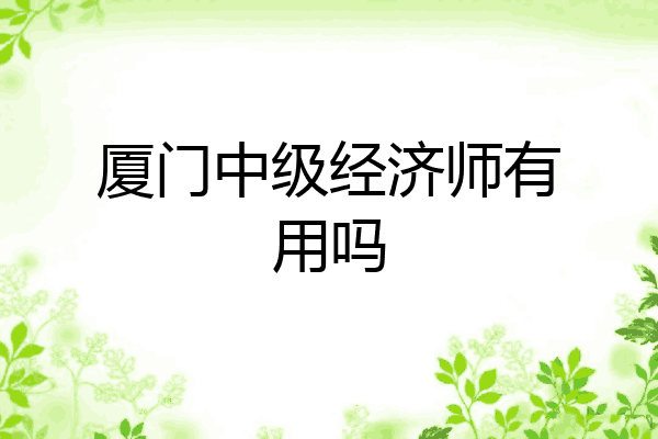 厦门中级经济师有用吗