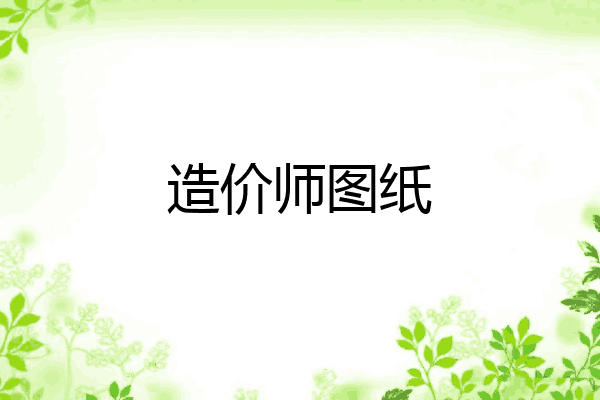 造价师图纸