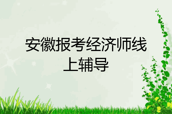 安徽报考经济师线上辅导