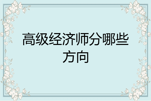 高级经济师分哪些方向