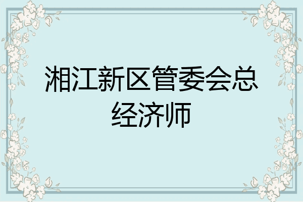 湘江新区管委会总经济师