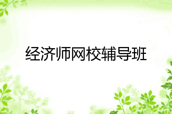 经济师网校辅导班
