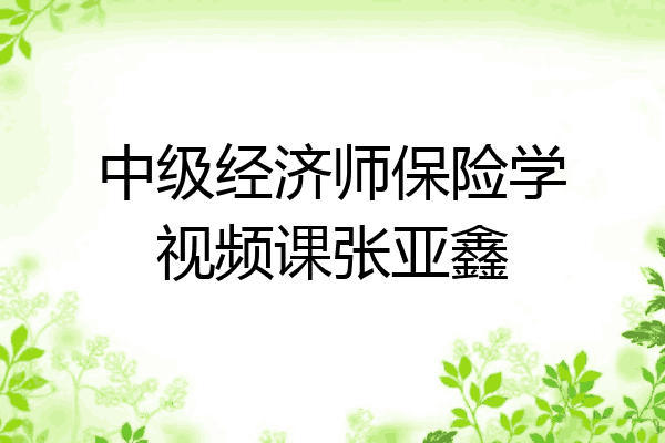 中级经济师保险学视频课张亚鑫