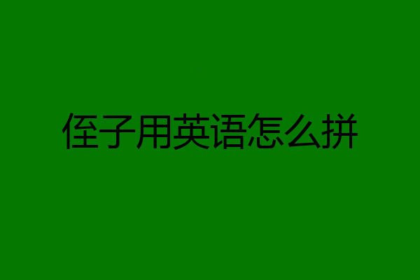 侄子用英语怎么拼