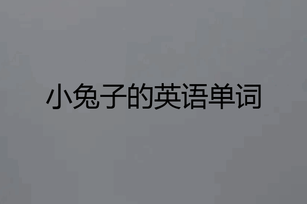 小兔子的英语单词