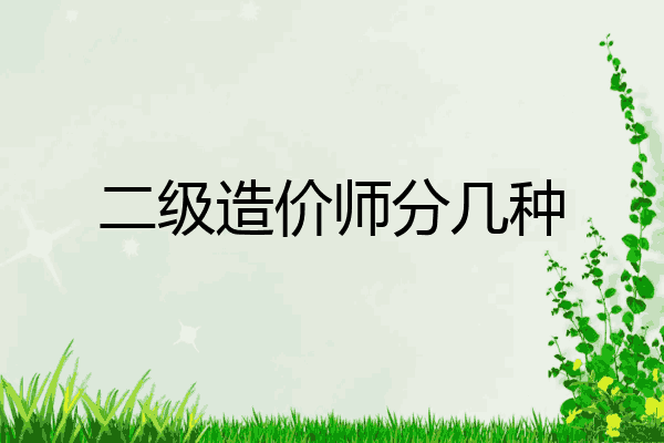 二级造价师分几种