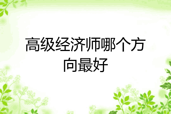 高级经济师哪个方向最好