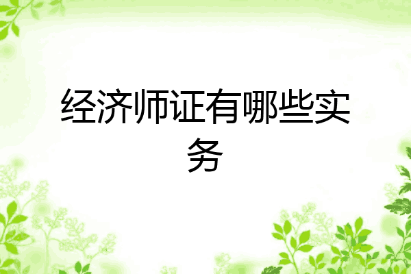 经济师证有哪些实务