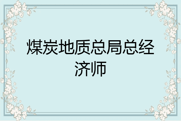 煤炭地质总局总经济师