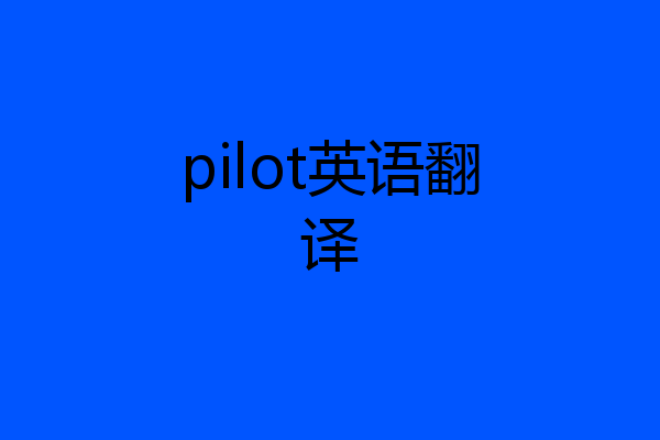 pilot英语翻译