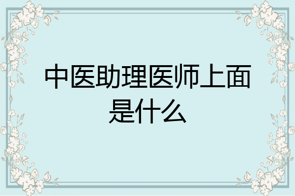 中医助理医师上面是什么