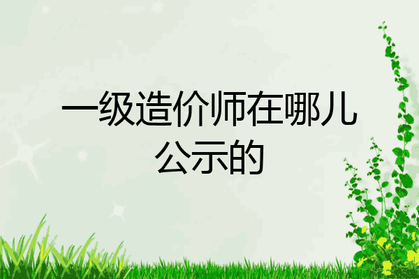 一级造价师在哪儿公示的