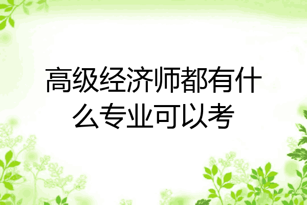 高级经济师都有什么专业可以考