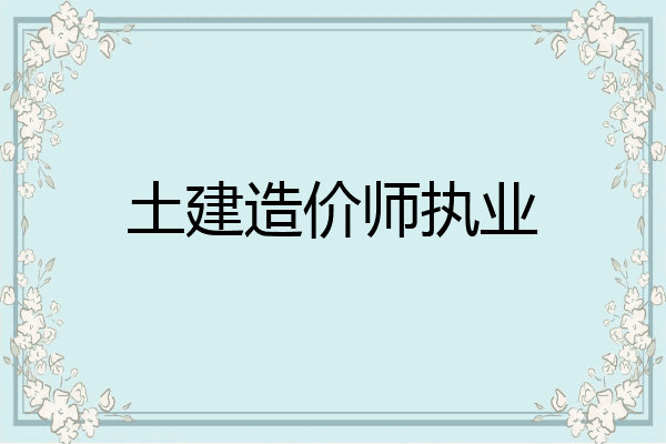 土建造价师执业
