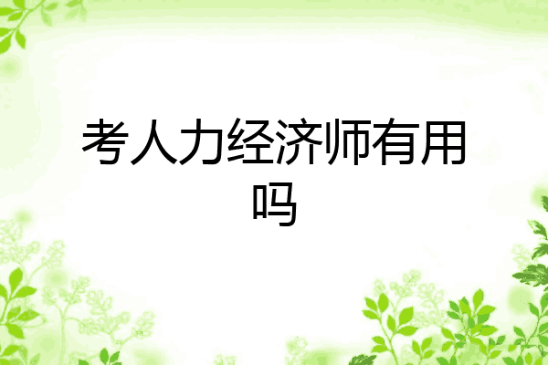 考人力经济师有用吗