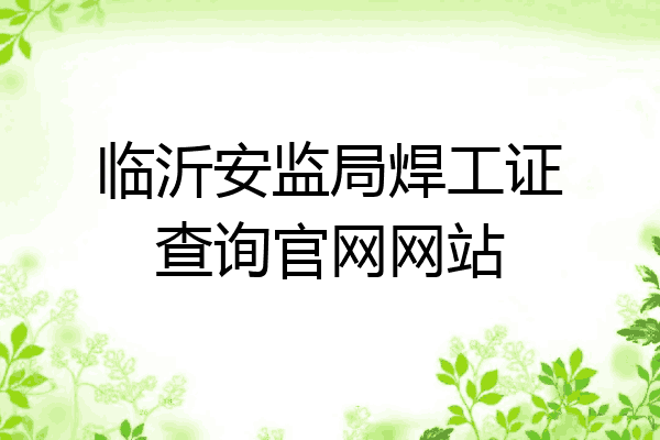 临沂安监局焊工证查询官网网站