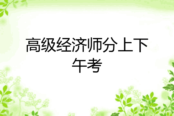 高级经济师分上下午考