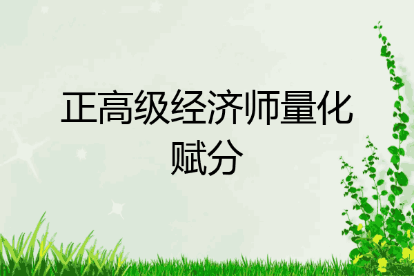 正高级经济师量化赋分