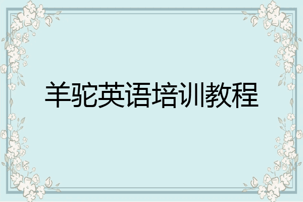 羊驼英语培训教程