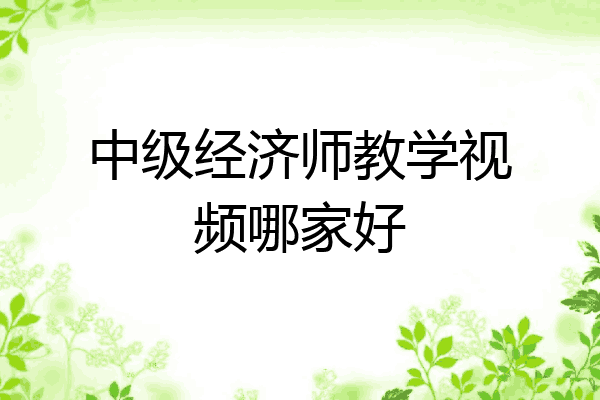 中级经济师教学视频哪家好