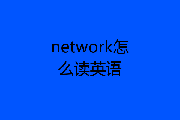 network怎么读英语