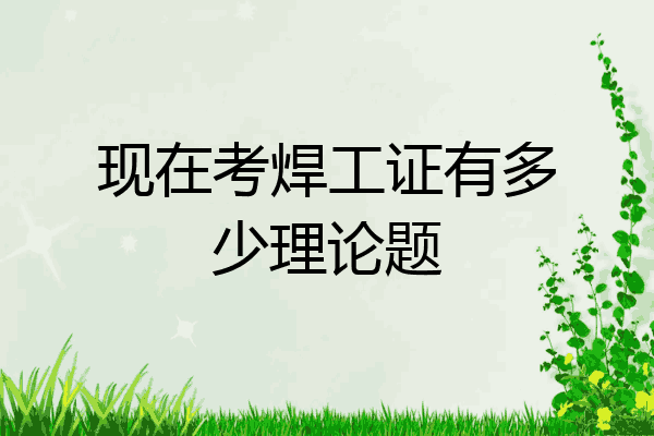 现在考焊工证有多少理论题