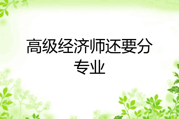 高级经济师还要分专业