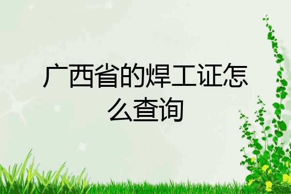 广西省的焊工证怎么查询