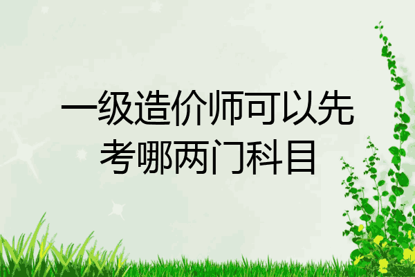 一级造价师可以先考哪两门科目