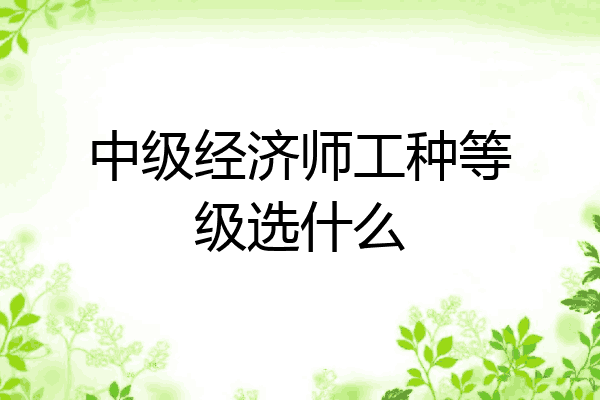 中级经济师工种等级选什么