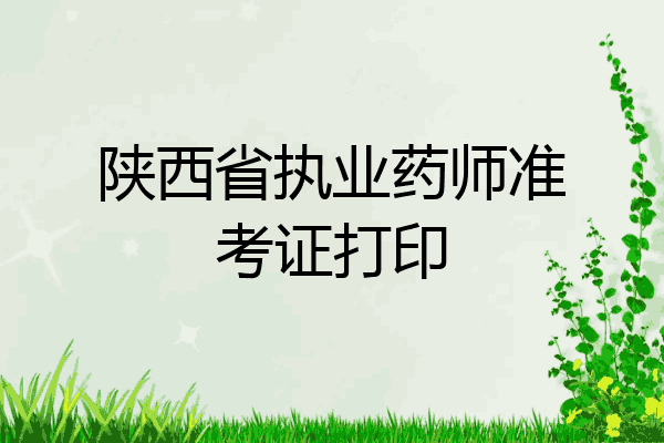 陕西省执业药师准考证打印