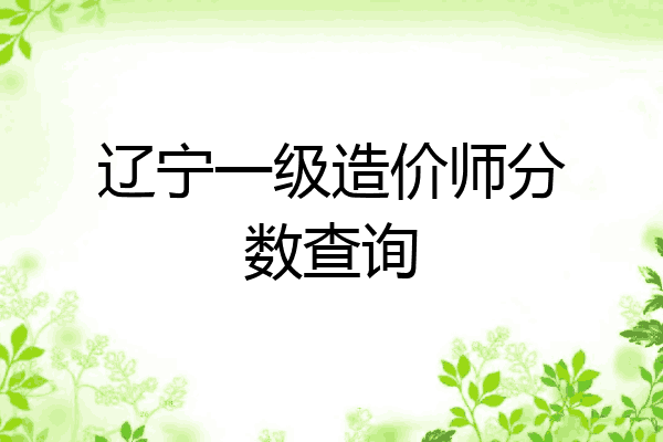 辽宁一级造价师分数查询