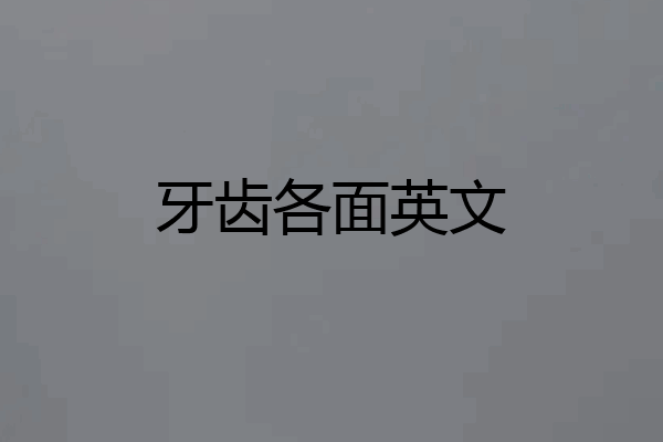 牙齿各面英文