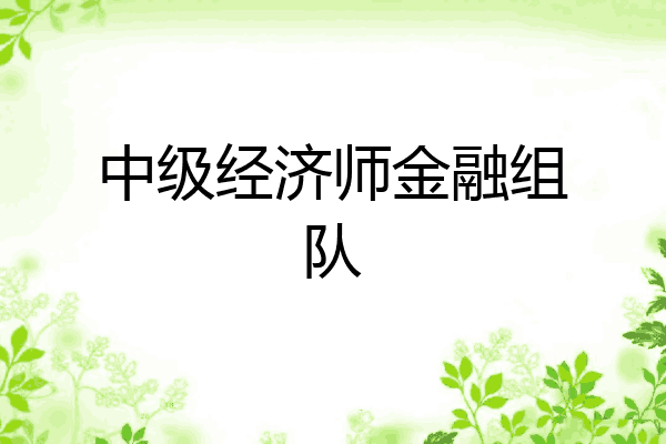 中级经济师金融组队
