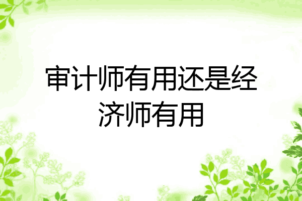 审计师有用还是经济师有用