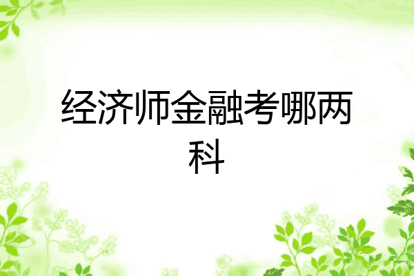经济师金融考哪两科
