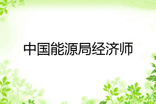 中国能源局经济师