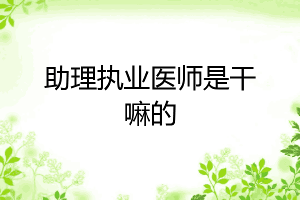 助理执业医师是干嘛的