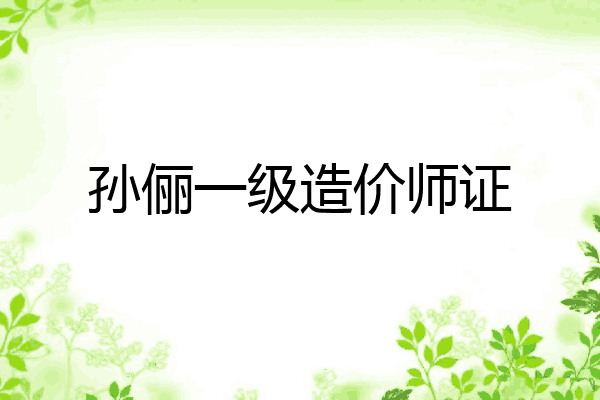孙俪一级造价师证