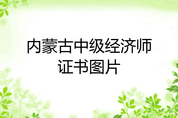 内蒙古中级经济师证书图片