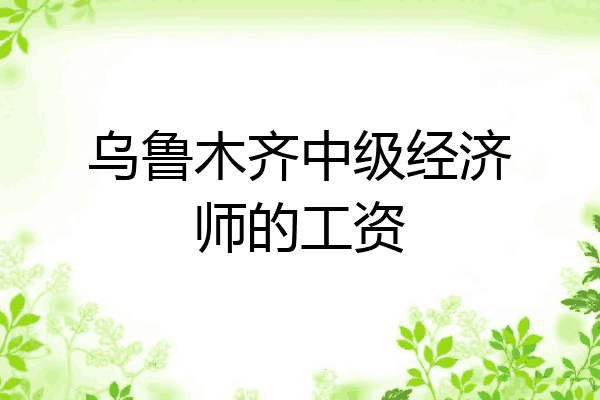 乌鲁木齐中级经济师的工资