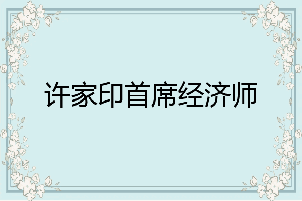 许家印首席经济师