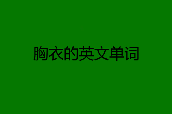 胸衣的英文单词